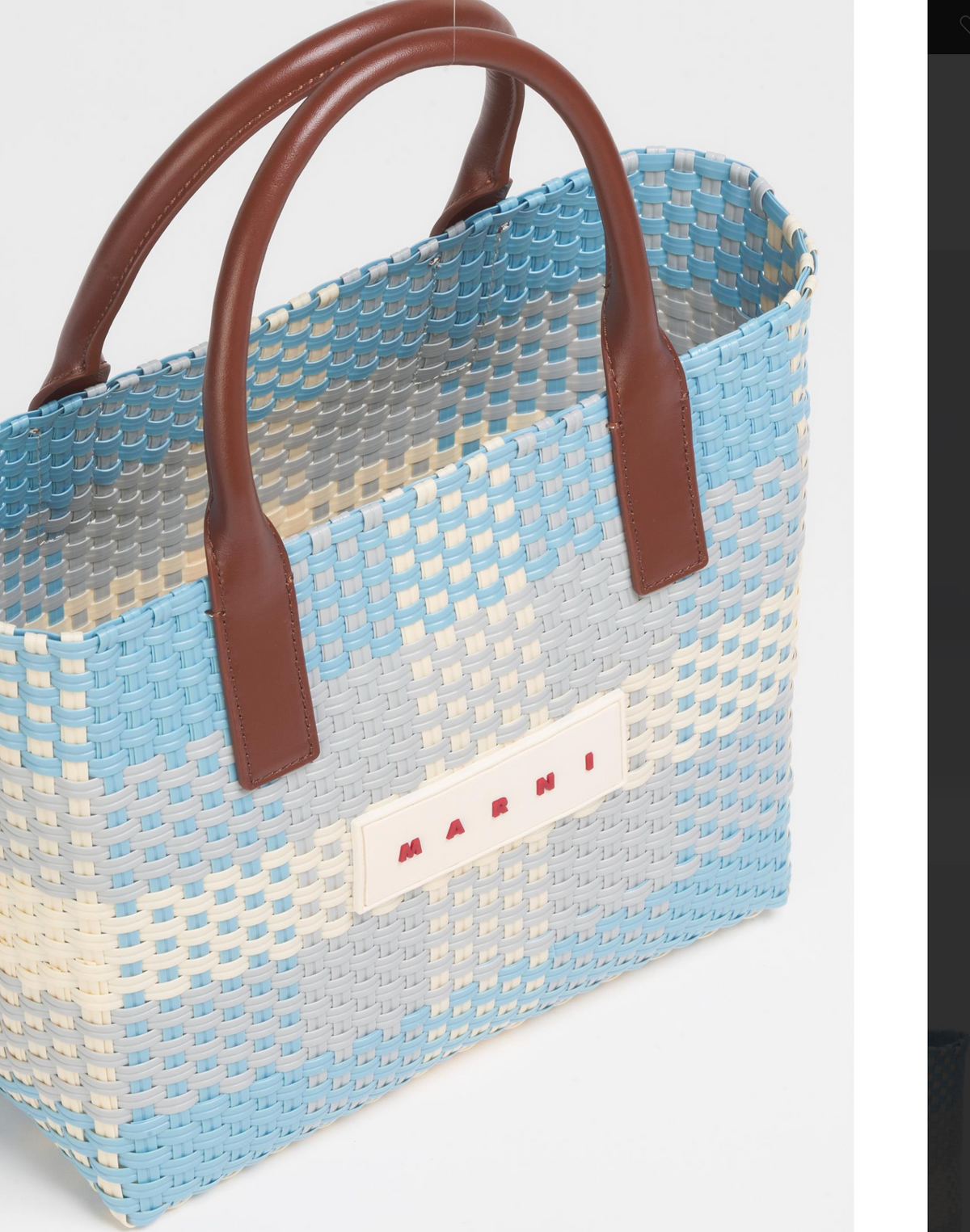 Check Tote Small