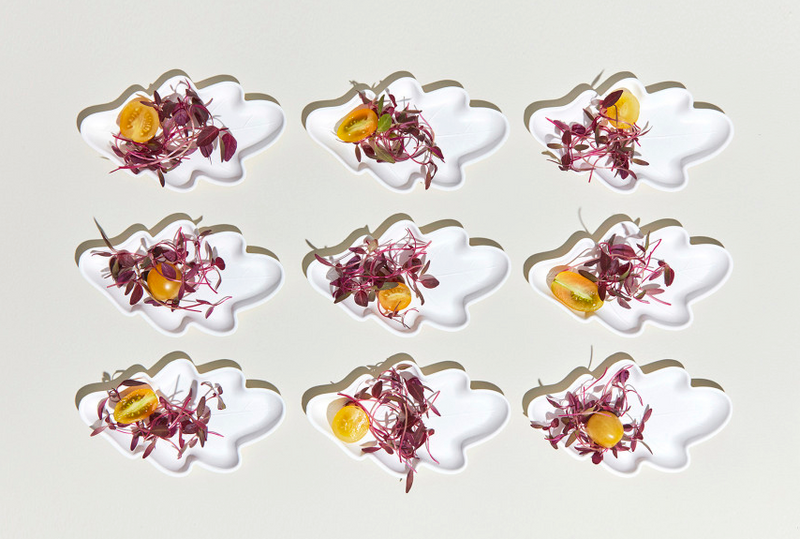 [KHJ Studio] Oak Leaf Plate Small 4P
