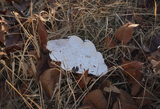 [KHJ Studio] Oak Leaf Plate Small 4P