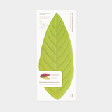 [KHJ Studio] Hanji Leaf Tray